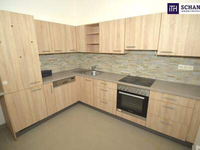 Terrassenwohnung kaufen in 1200 Wien (Bild 5)