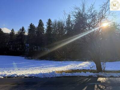 Gewerbeobjekt kaufen in 8045 Graz