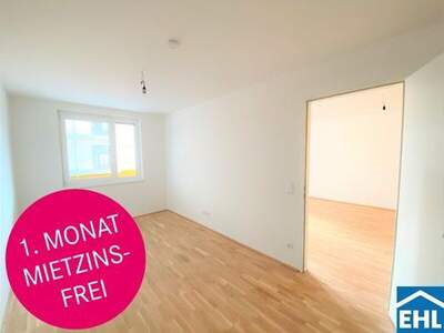 Wohnung mieten in 1100 Wien