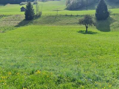 Grundstück kaufen in 4463 Großraming (Bild 3)