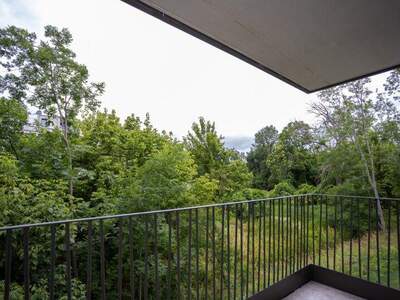 Terrassenwohnung kaufen in 2700 Wr. Neustadt (Bild 4)