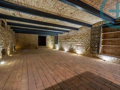 Gewerbeobjekt mieten in 2340 Mödling (Bild 4)