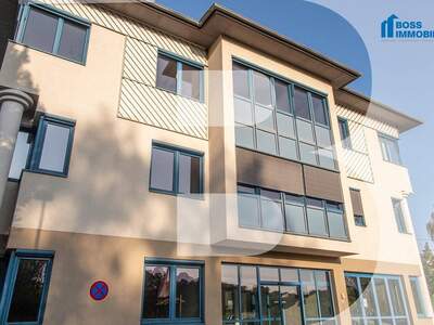 Gewerbeobjekt mieten in 4600 Thalheim