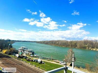 Haus kaufen in 3422 Greifenstein