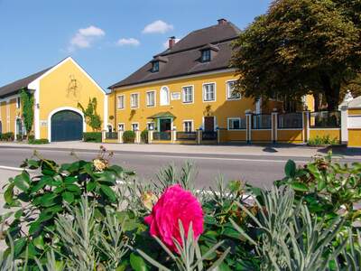 Gastronomie / Restaurant kaufen in 4600 Wels