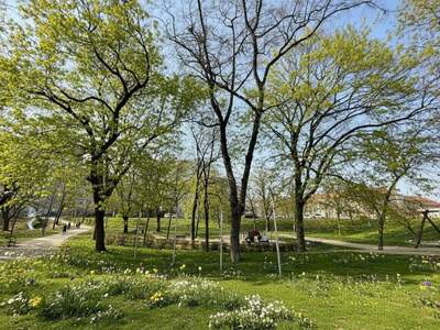 Anlageobjekt kaufen in 1210 Wien