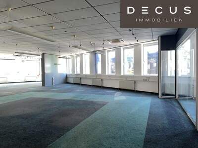 Büro / Praxis mieten in 1230 Wien (Bild 3)