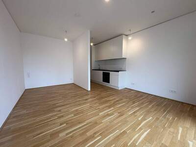 Wohnung mieten in 1220 Wien