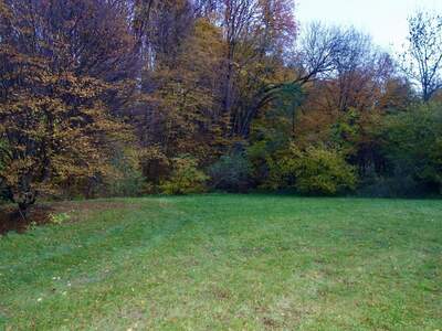 Grundstück kaufen in 3413 Hintersdorf (Bild 2)