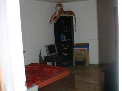 Wohnung mit Balkon mieten in 8010 Graz (Bild 3)