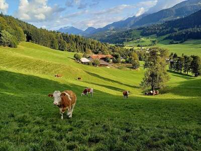 Haus provisionsfrei kaufen in 6380 Sankt Johann