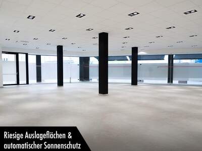 Gewerbeobjekt mieten in 4910 Ried (Bild 2)