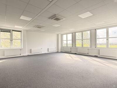 Gewerbeobjekt mieten in 2320 Schwechat (Bild 2)