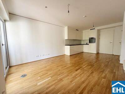 Terrassenwohnung mieten in 1030 Wien (Bild 3)
