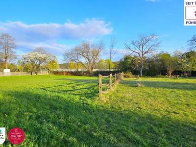 Grundstück kaufen in 2620 Neunkirchen (Bild 4)