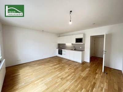 Terrassenwohnung mieten in 1120 Wien (Bild 1)
