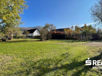 Haus kaufen in 4560 Kirchdorf (Bild 3)