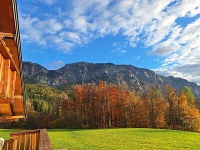 Terrassenwohnung mieten in 4853 Steinbach (Bild 3)