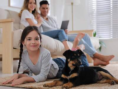 Wohnung kaufen in 8042 Graz