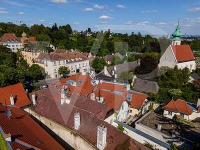 Haus mit Garten kaufen in 1190 Wien (Bild 3)