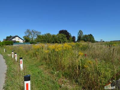 Grundstück kaufen in 2700 Wr. Neustadt (Bild 3)