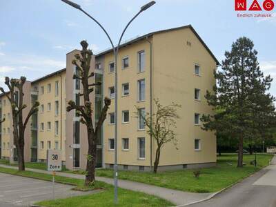 Praxis mieten in 4400 Steyr