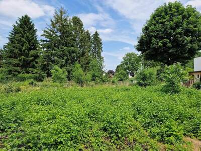 Grundstück kaufen in 3484 Grafenwörth