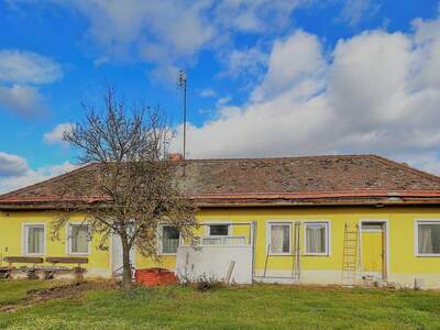 Haus mit Garten kaufen in 2054 Kleinhaugsdorf