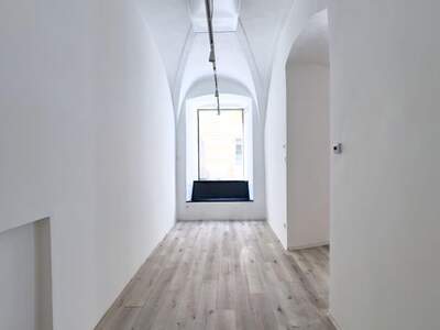 Gewerbeobjekt mieten in 1010 Wien (Bild 3)