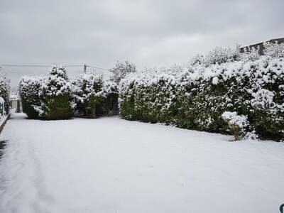 Grundstück kaufen in 2514 Traiskirchen (Bild 4)