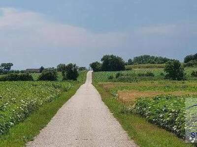 Gewerbeobjekt kaufen in 2444 Seibersdorf