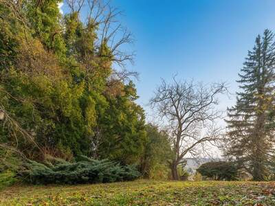 Grundstück kaufen in 1190 Wien