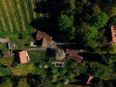 Haus kaufen in 8462 Gamlitz (Bild 4)