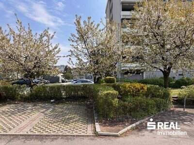 Immobilie kaufen in 4030 Linz