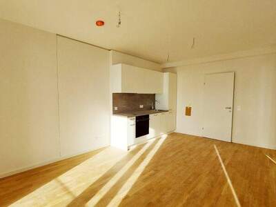 Terrassenwohnung mieten in 1220 Wien (Bild 2)