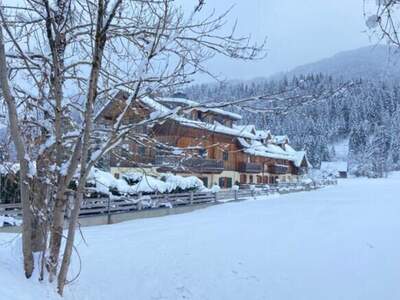 Wohnung mit Balkon kaufen in 33018 Tarvis (Bild 1)