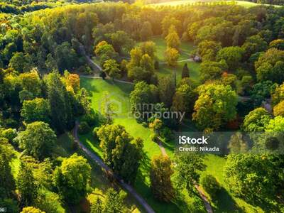 Grundstück kaufen in 8243 Pinggau (Bild 3)