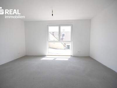 Mehrfamilienhaus kaufen in 2285 Leopoldsdorf (Bild 3)