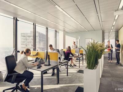 Gewerbeobjekt mieten in 1100 Wien (Bild 4)