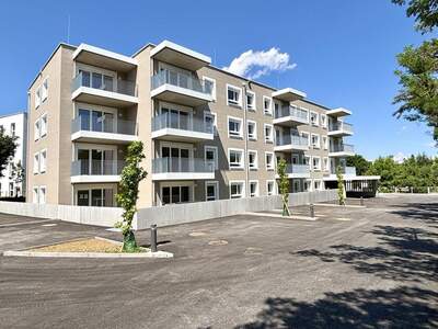 Wohnung mit Balkon mieten in 4713 Gallspach (Bild 1)