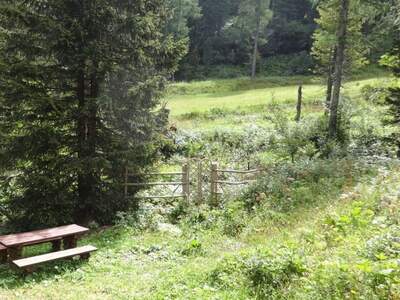 Haus mit Garten kaufen in 9565 Turracherhöhe (Bild 2)