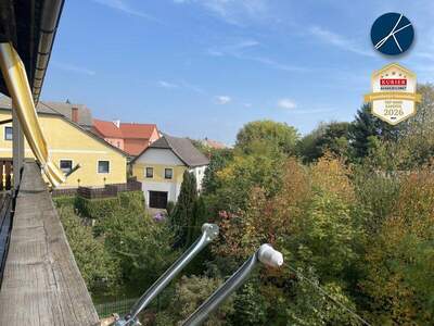 Mehrfamilienhaus kaufen in 3812 Groß (Bild 2)