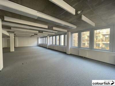 Gewerbeobjekt mieten in 1030 Wien (Bild 4)