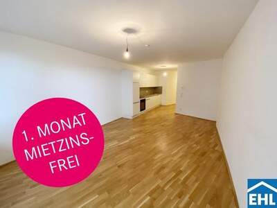 Wohnung mieten in 1100 Wien