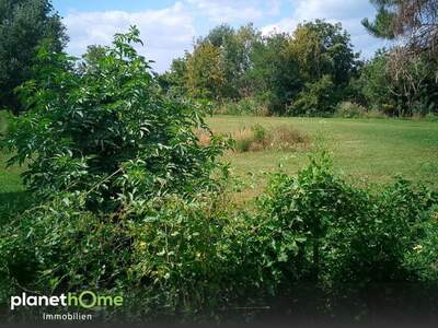 Grundstück kaufen in 2410 Hainburg (Bild 4)