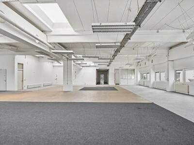 Büro / Praxis mieten in 1230 Wien (Bild 5)
