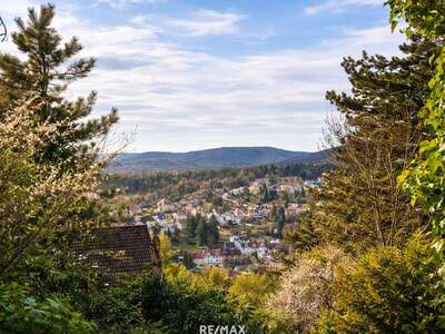 Haus kaufen in 1140 Wien (Bild 3)