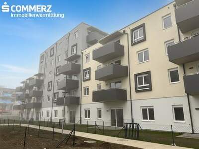 Wohnung mieten in 2700 Wiener Neustadt