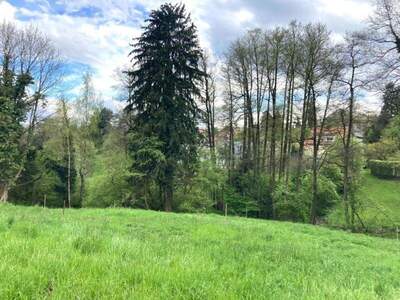 Grundstück kaufen in 8010 Graz (Bild 2)