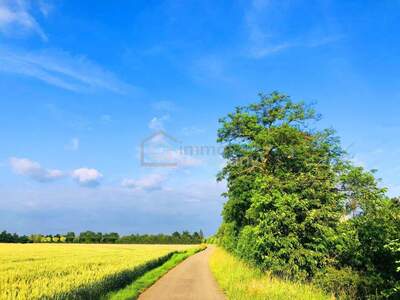 Gewerbeobjekt kaufen in 2424 Zurndorf